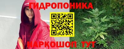 дмт Пушкино