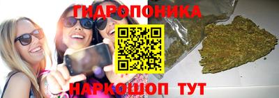 дмт Пушкино