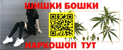 дмт Пушкино