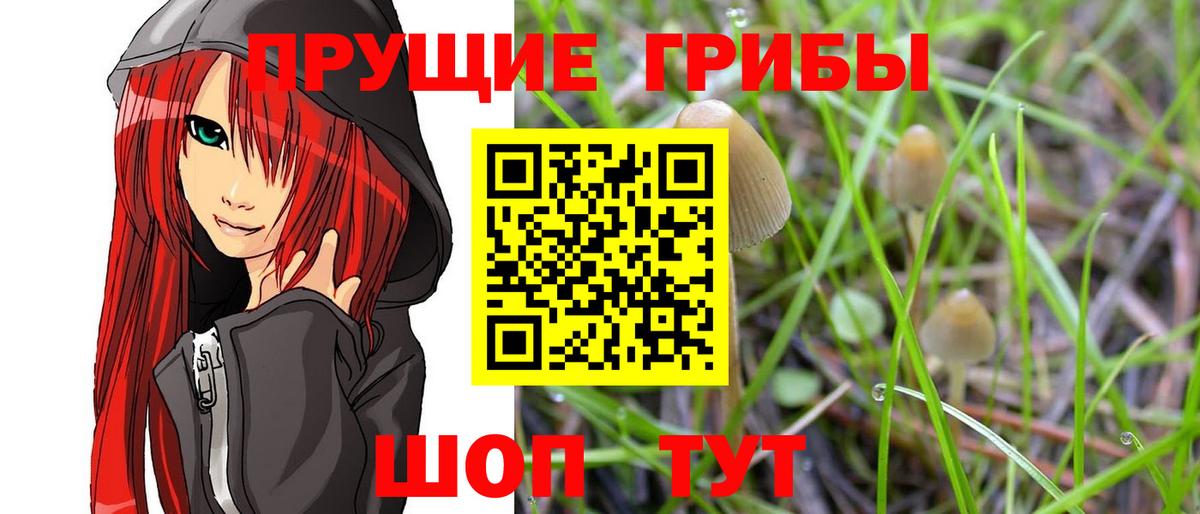 Светлоград  Псилоцибиновые грибы GOLDEN TEACHER  Псилоцибиновые грибы ЛСД  Вход с VPN 